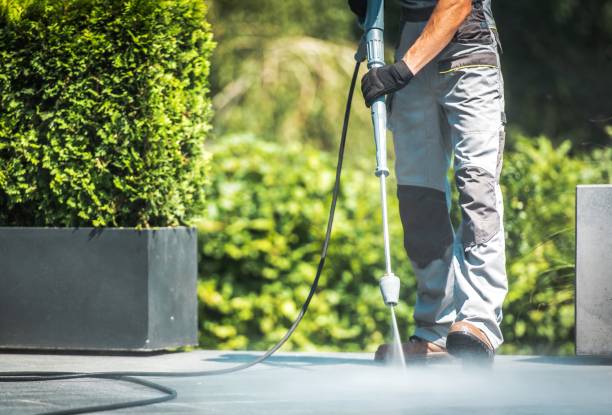 Best Gutter Cleaning and Brightening in Okawvle, IL